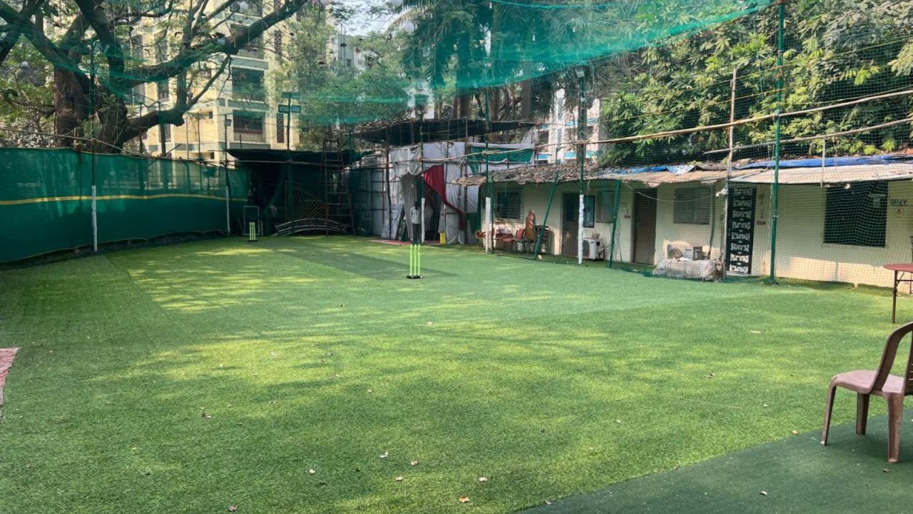 Takshvi Lawn & Turf