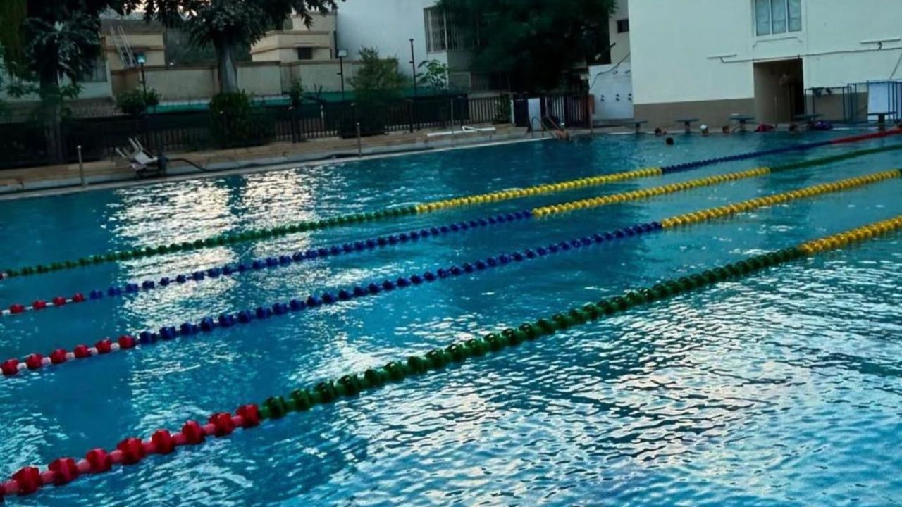 Flying Fish Swimming Academy