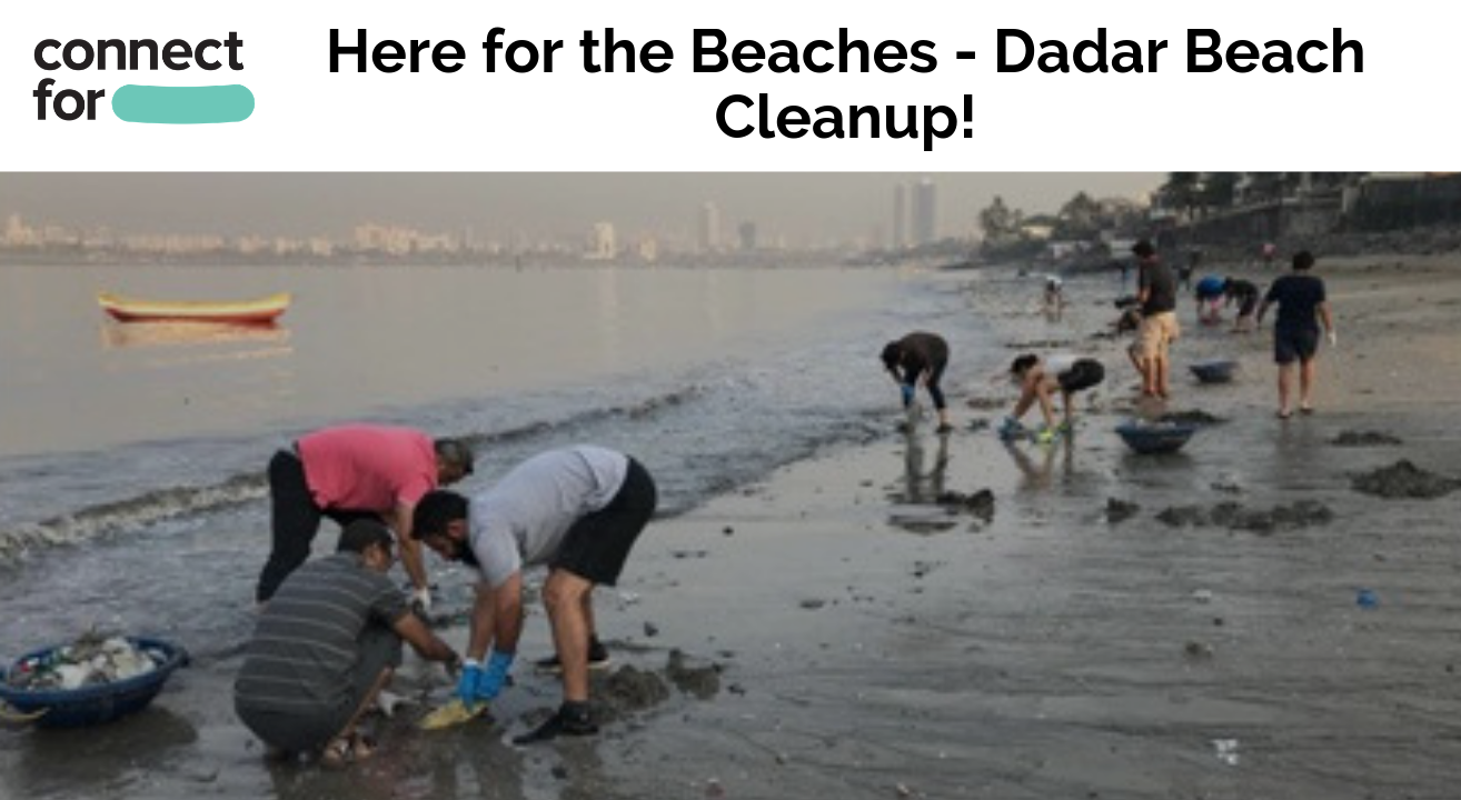 Dadar Beach Cleanup 