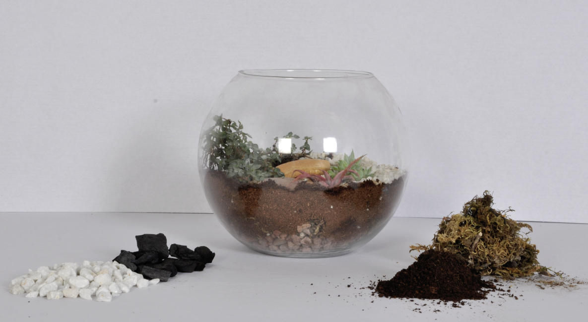 Terrarium & Dish Gardening workshop 