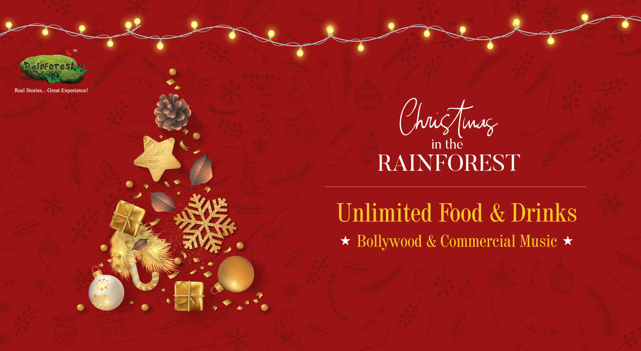 Christmas in the Rainforest!