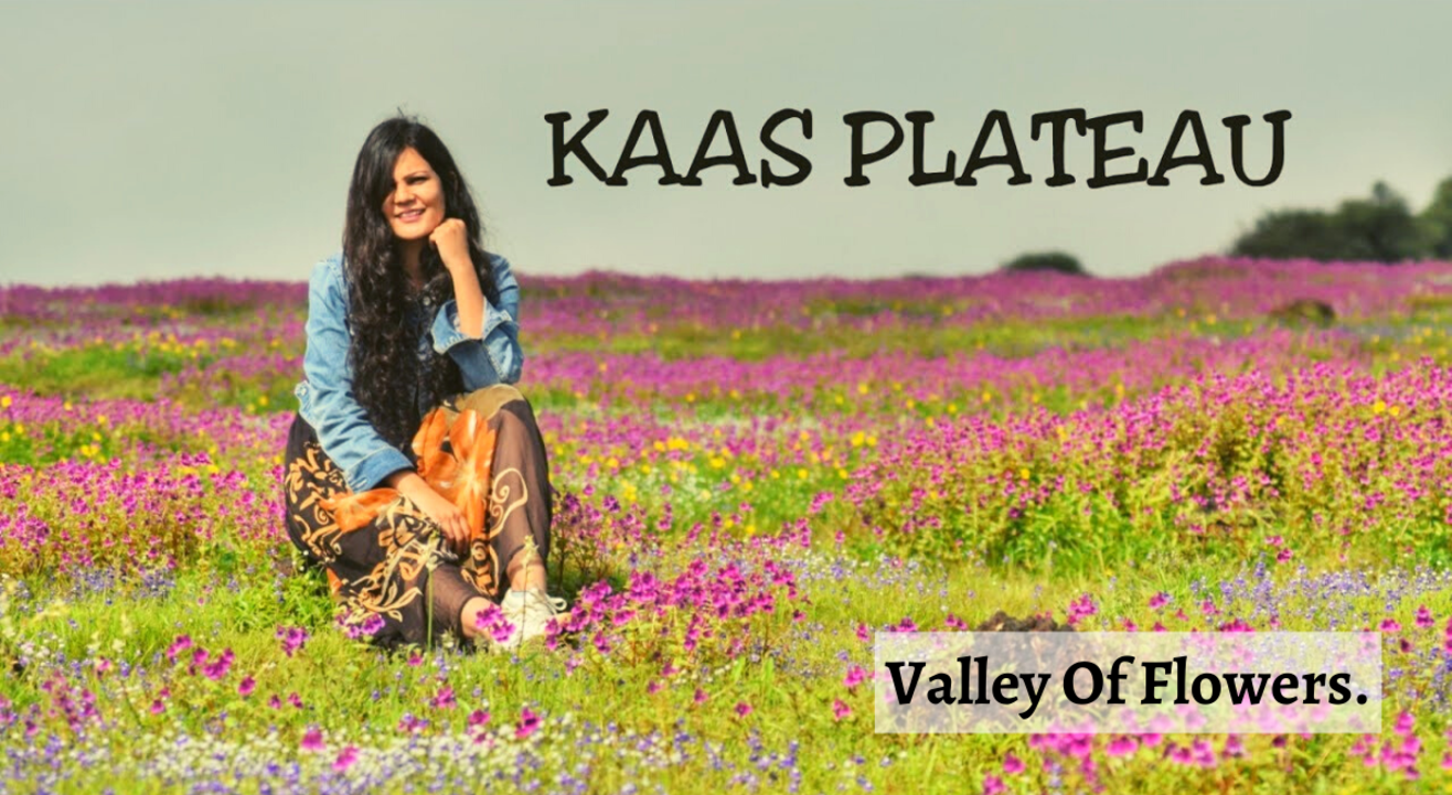 KAAS PLATEAU & THOSEGHAR WATERFALL.