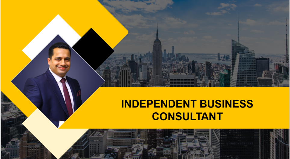 Independent Business Consultant