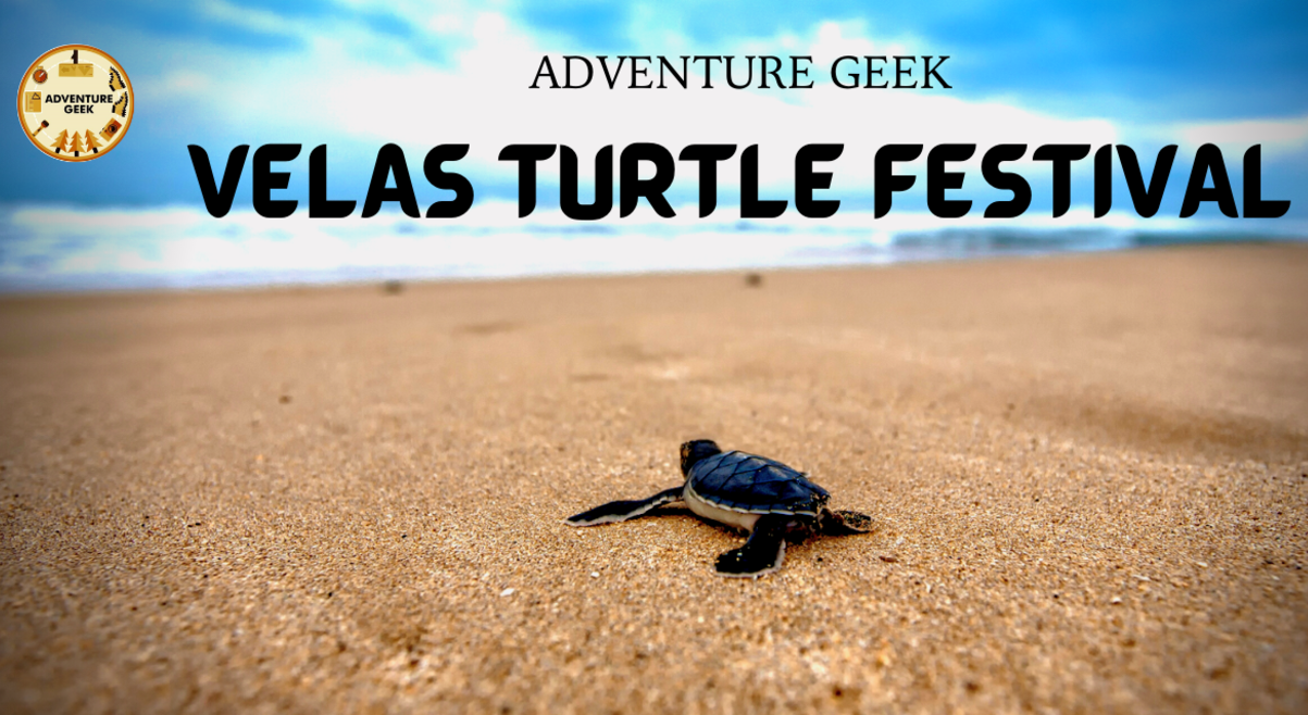 Velas Turtle Festival 2022 From Pune | Adventure Geek