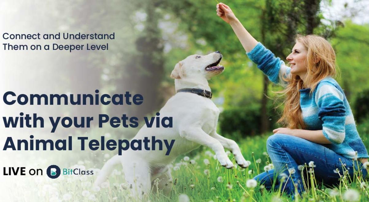 Communicate with your Pets via Animal Telepathy | Connect and Understand Them on a Deeper Level