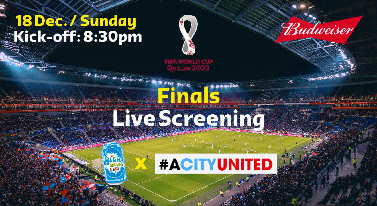 FIFA World Cup Finals Live Screening