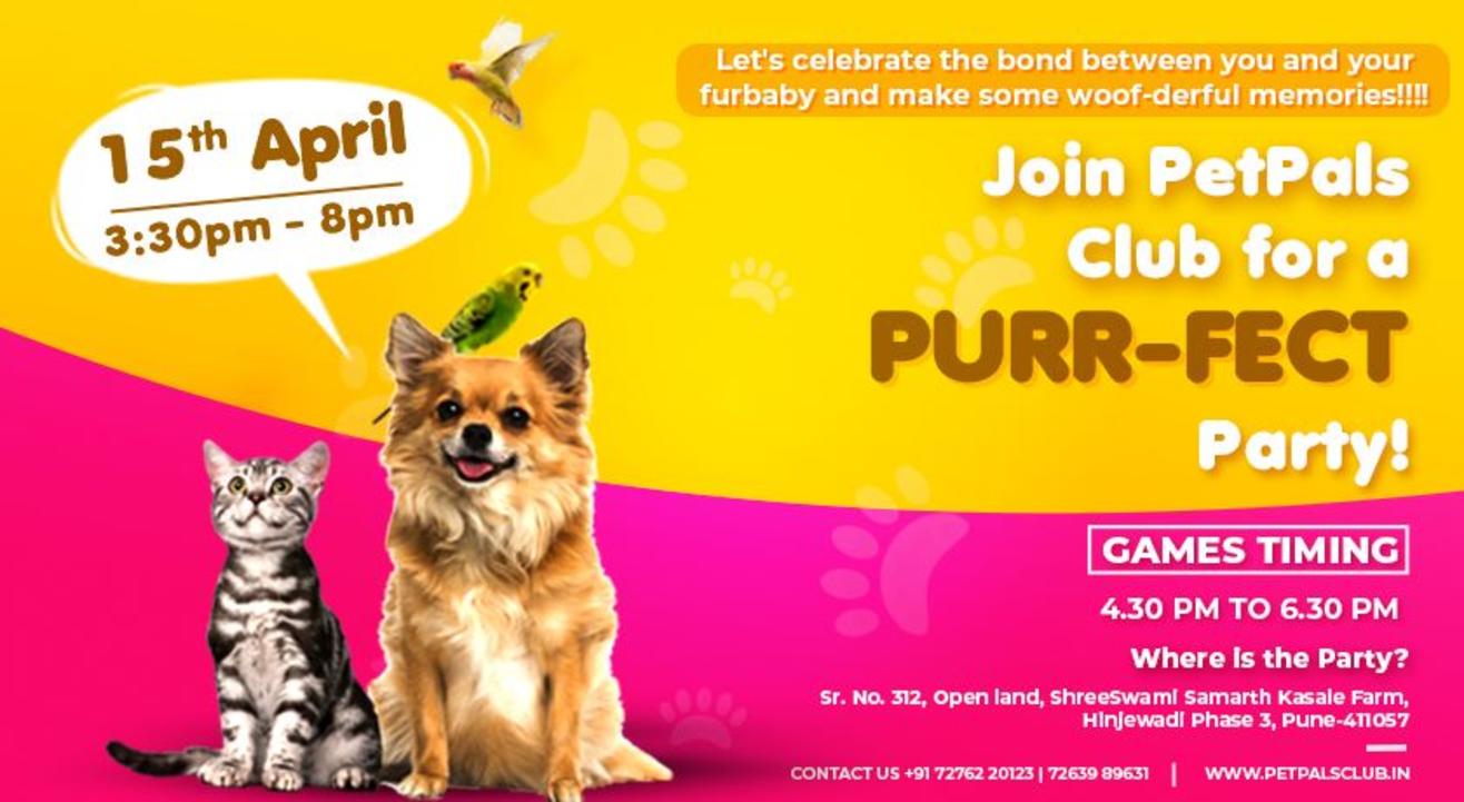 PetPalsClub Purr-Fect party