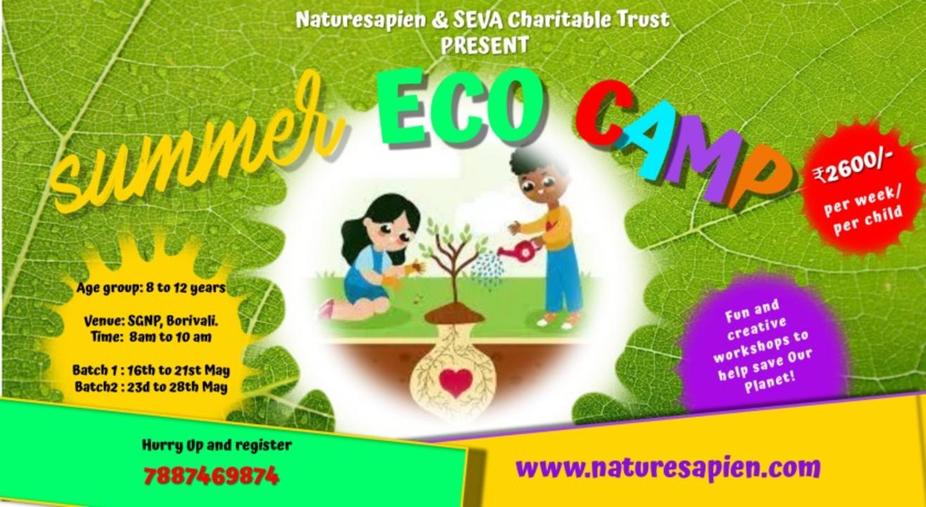 Summer Eco Camp 