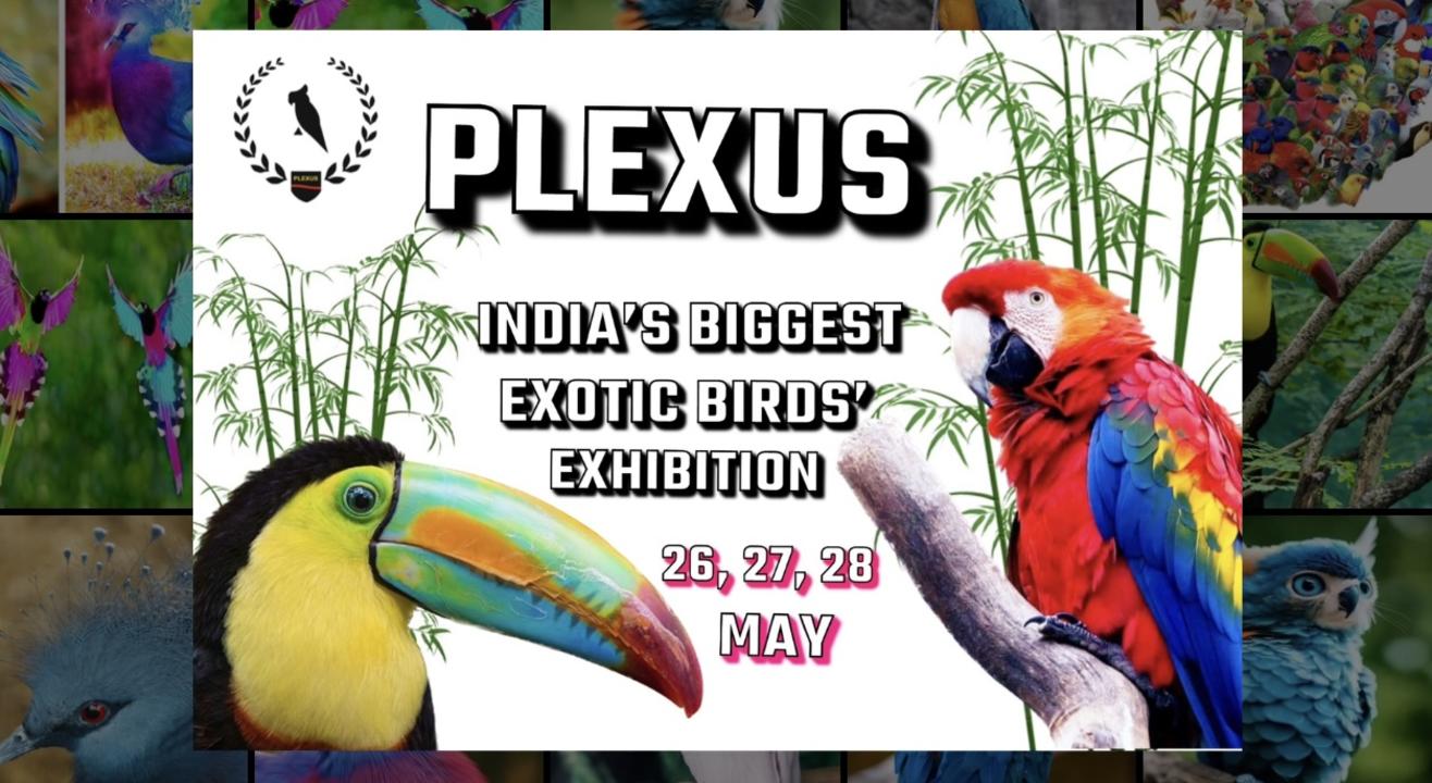 PLEXUS- INDIA’S BIGGEST EXOTIC BIRDS EXHIBITION 