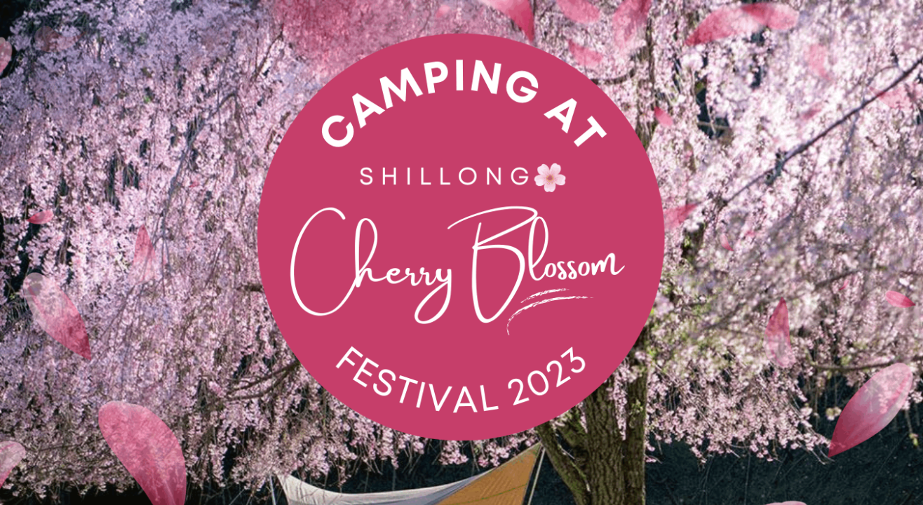 Shillong Cherry Blossom Festival