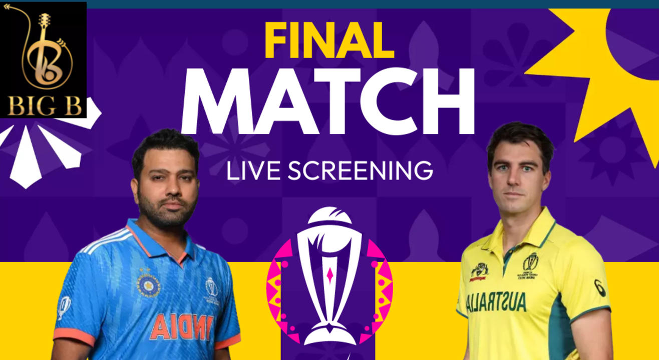 Cricket World Cup Final