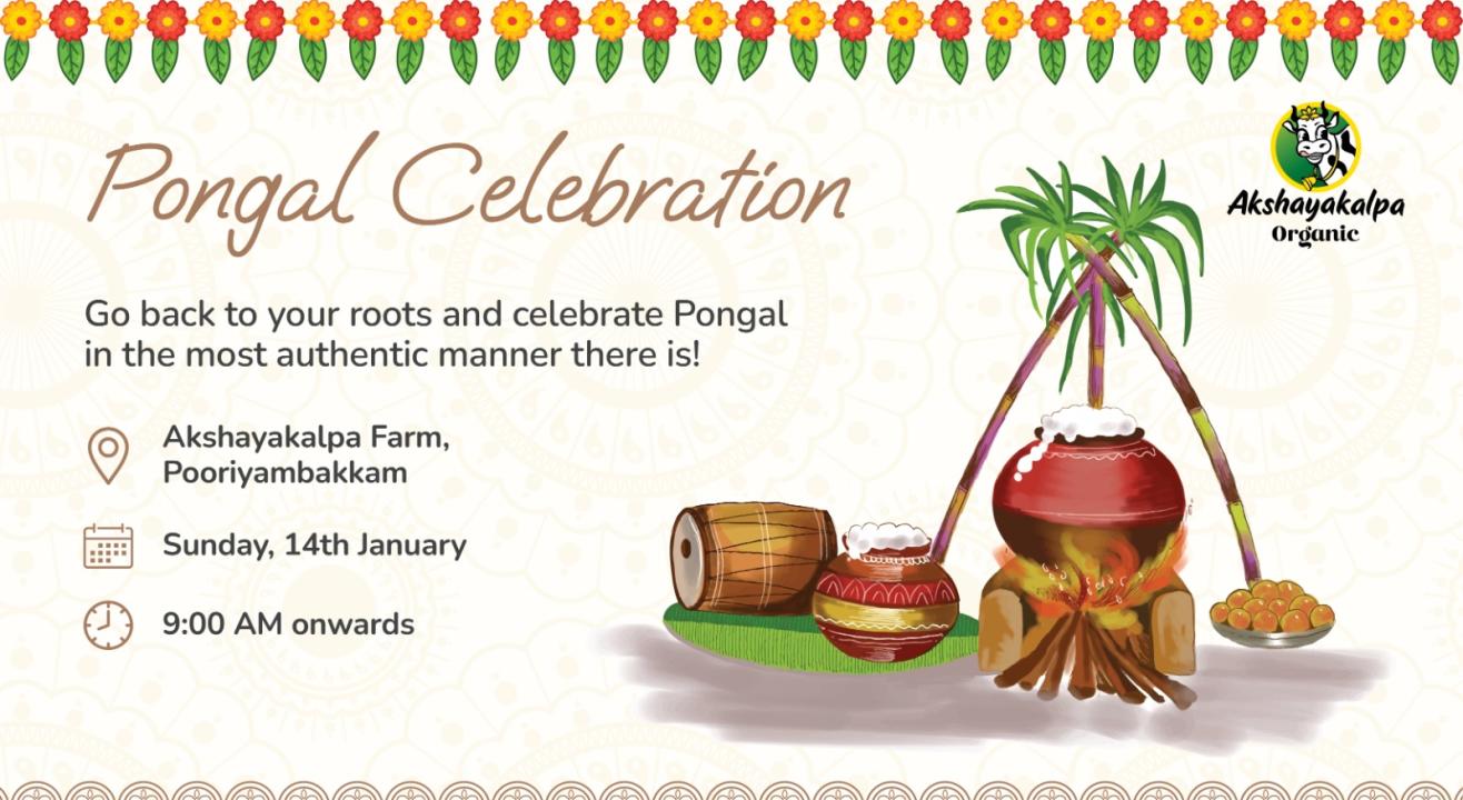 Akshayakalpa Organic Pongal Celebration 2024