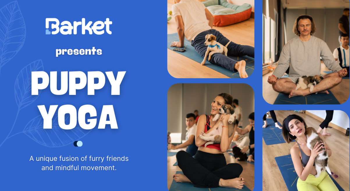 Puppy Yoga By Barket