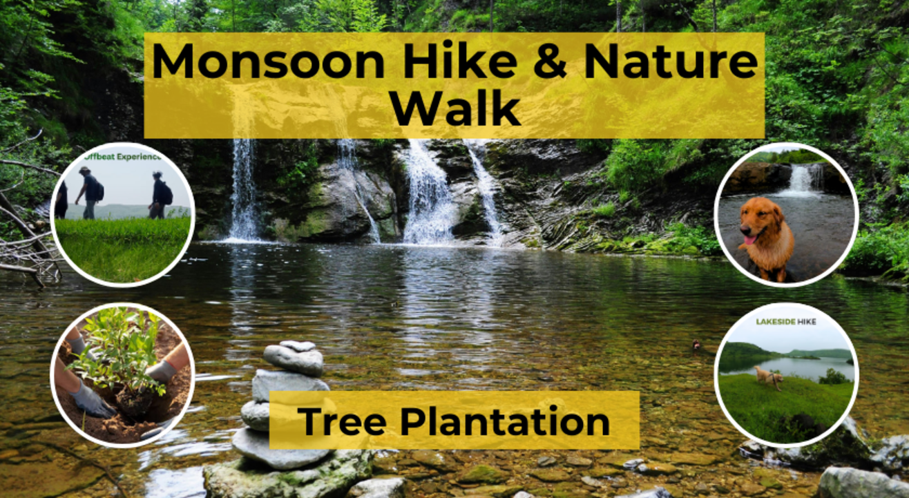 JoinWithMe Monsoon Hike and Tree Plantation🌳Pet-friendly