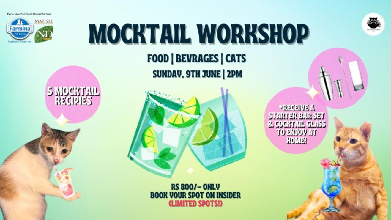 Mocktail workshop with cats at Cat Cafe Studio, Mumbai