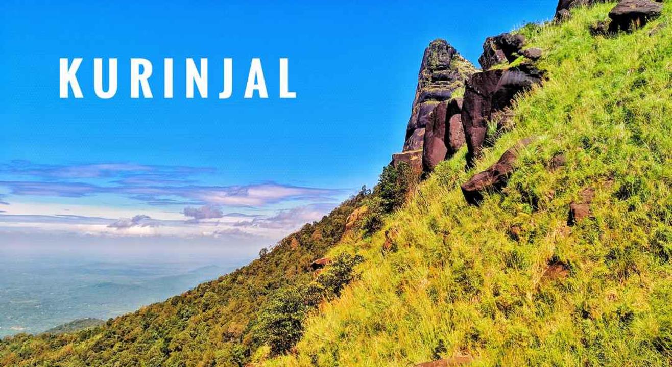 Kurinjal Peak Trek my hikes