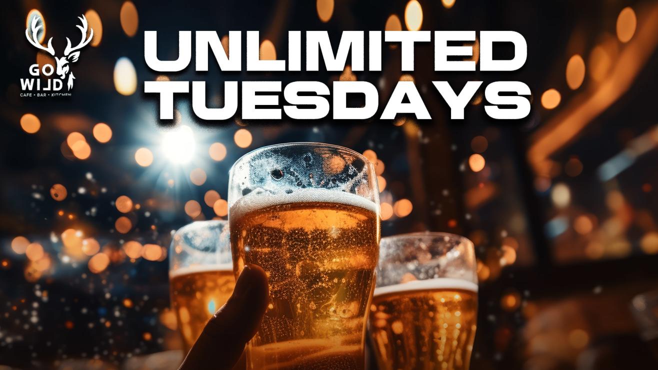 Unlimited Tuesdays @ Gowild rooftop Koramangala