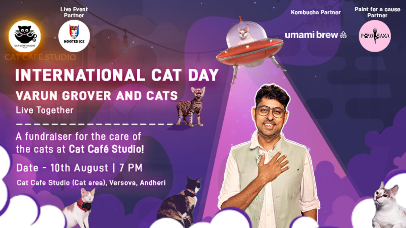 Varun Grover and Cats live together for International Cat Day