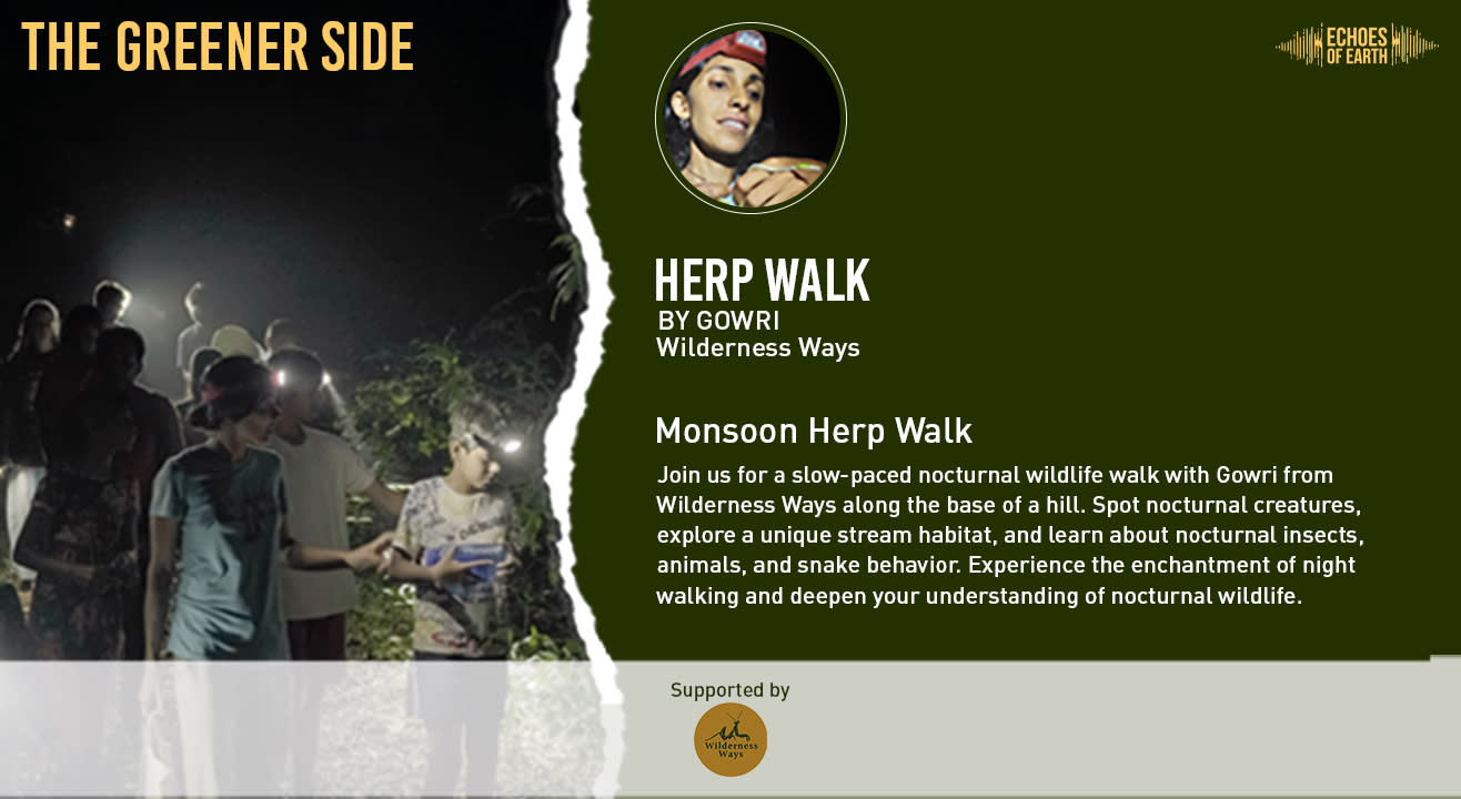 Monsoon Herp Walk | Bengaluru