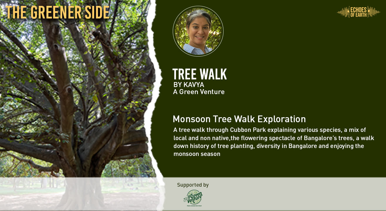 Monsoon Tree Walk | Bengaluru