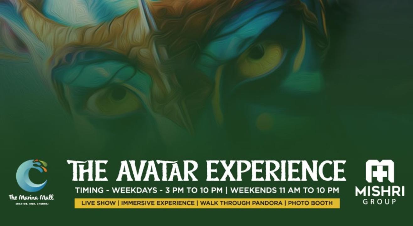 THE AVATAR EXPERIENCE