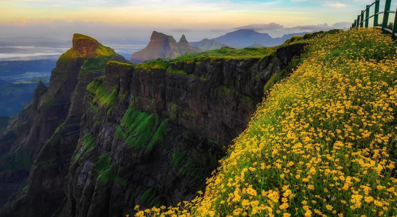 Flowers Special  Harishchandragad Night Trek