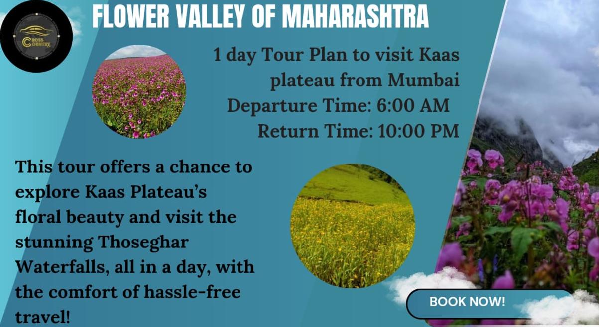 One day Road trip to KAAS Plateau from Mumbai