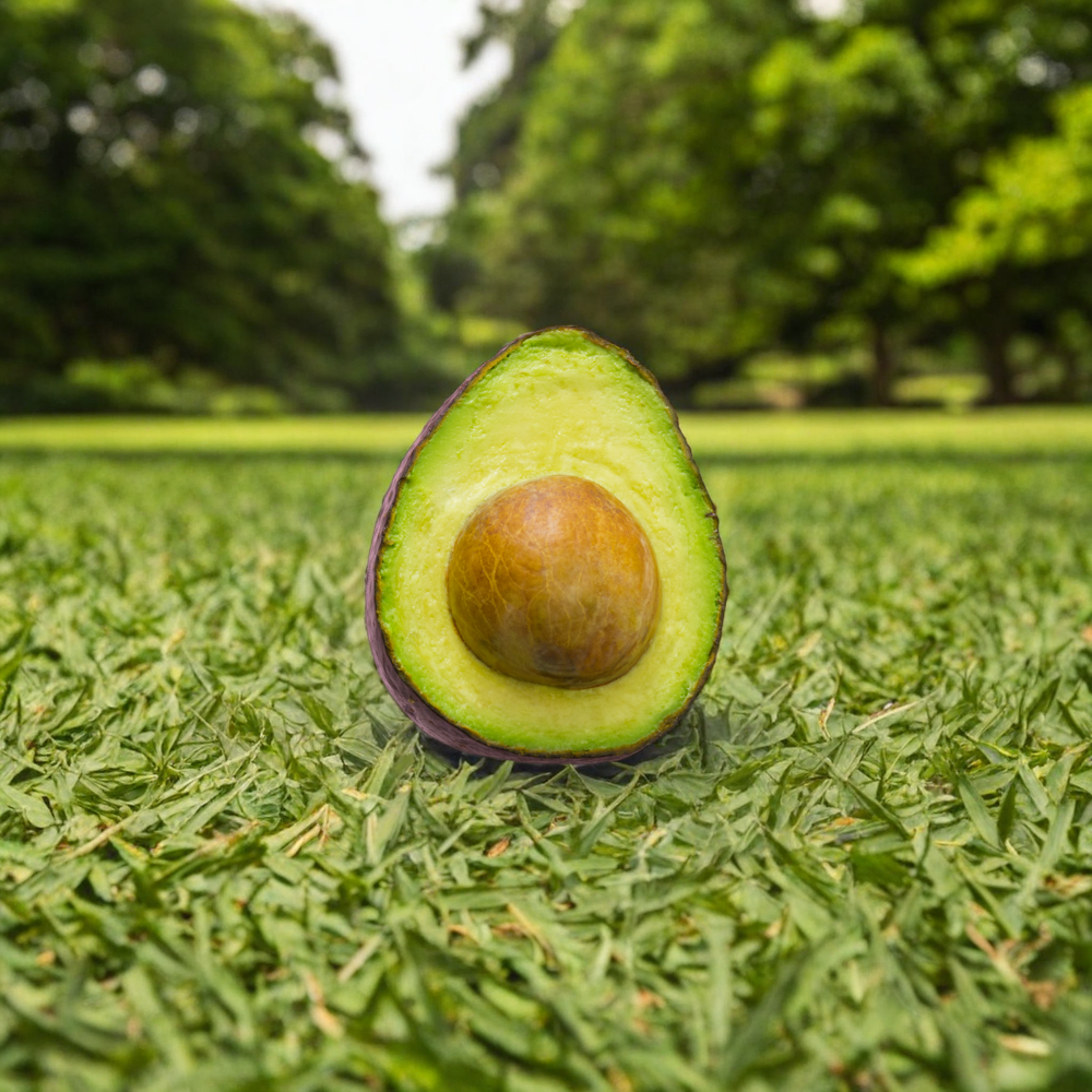 Generated product photo