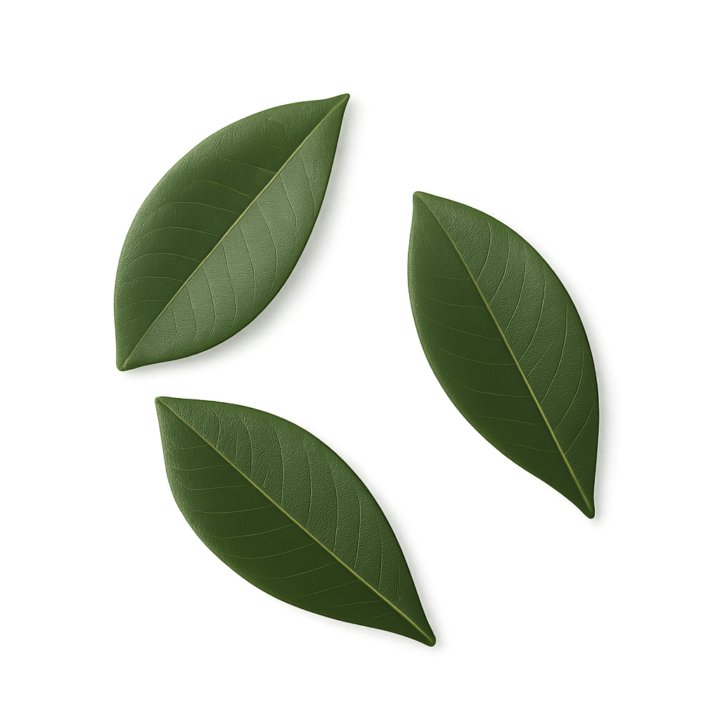 Leaf