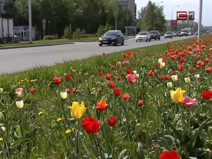 30-градусную жару обещают жителям Югры в начале новой недели