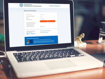 Демоверсии личных кабинетов для предпринимателей и организаций