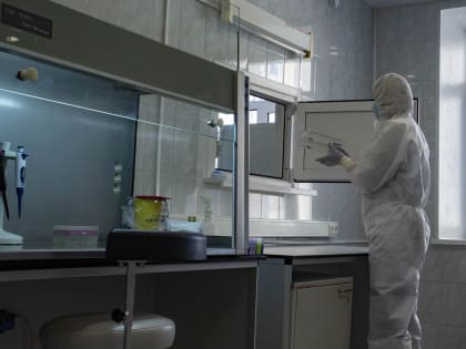В Югре среди обнаруженных респираторных вирусов метапневмовирус не выявили