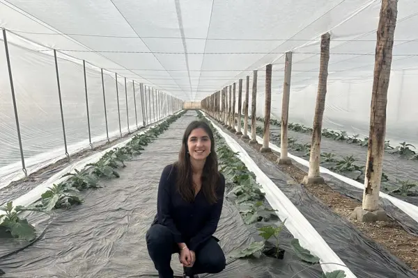 Ajíes tucumanos rumbo a Francia: un proyecto joven que apuesta a la agricultura y el empleo rural