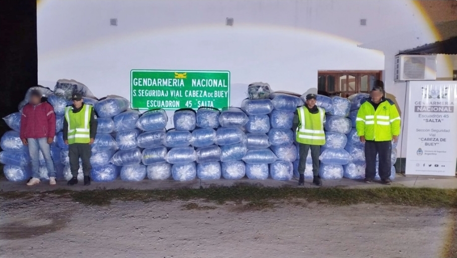 Salta: gendarmes impidieron el traslado de una tonelada y media de hojas de coca hacia Buenos Aires