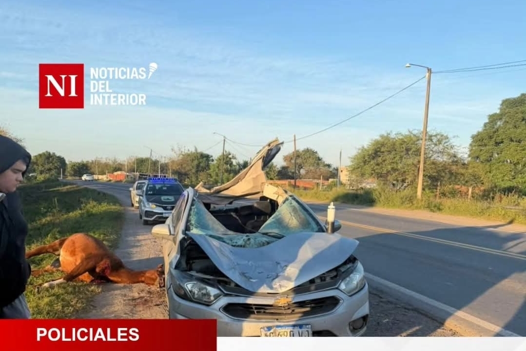 Otro choque con un caballo en Tucumán: un auto terminó destruido en Alderetes