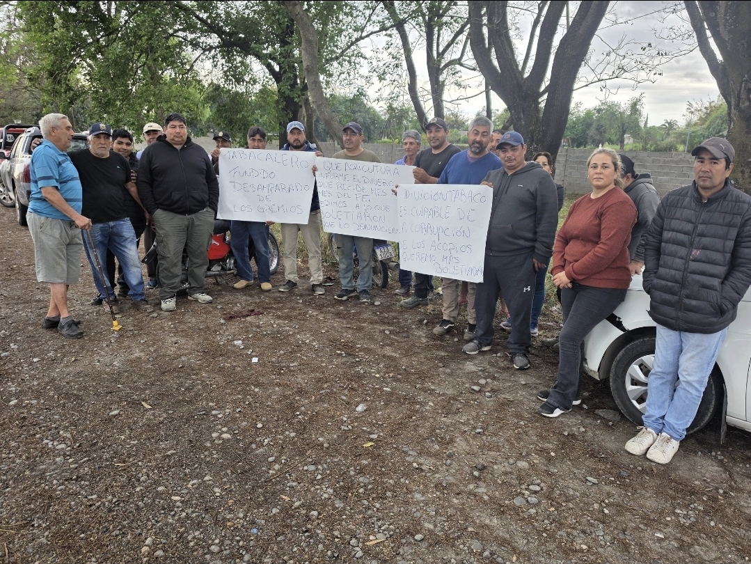 Tabacaleros denuncian presuntos “kilos fantasma” en Tucumán y reclaman auditorías sobre los acopios