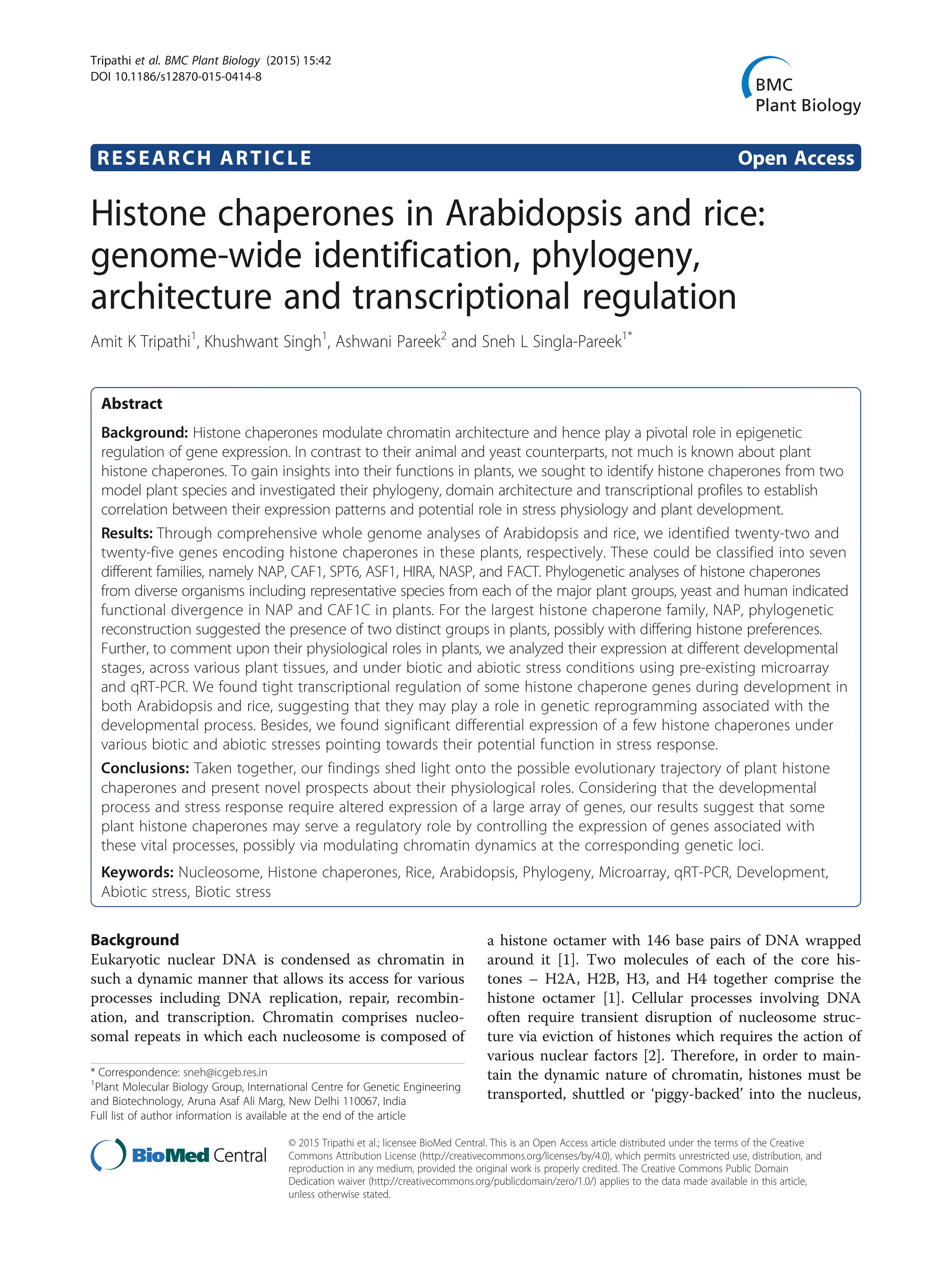 Histone chaperones in Arabidopsis and rice: Genome-wide identification, phylogeny, architecture and