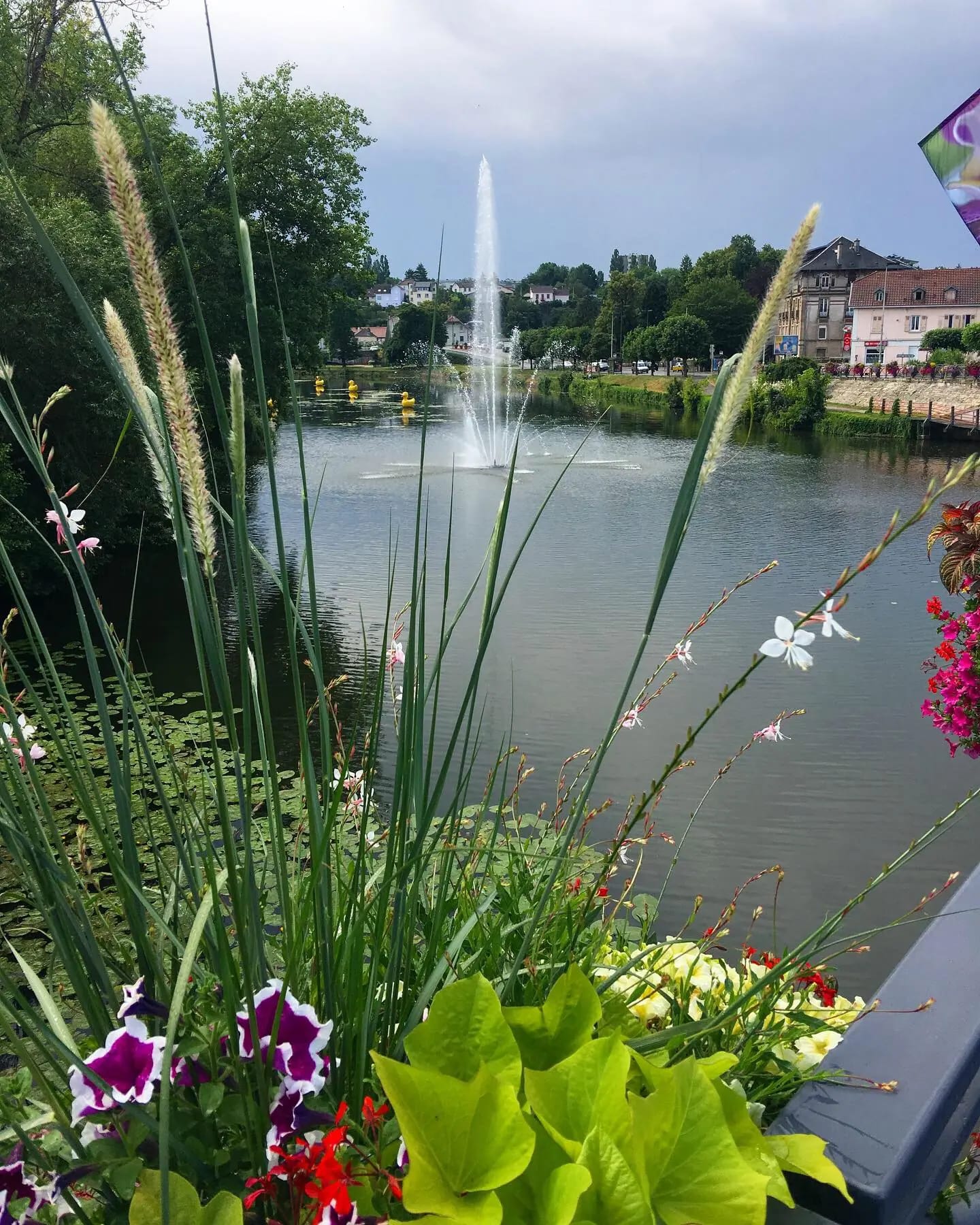 Franche-Comté, France Fleurs en face de la rivière