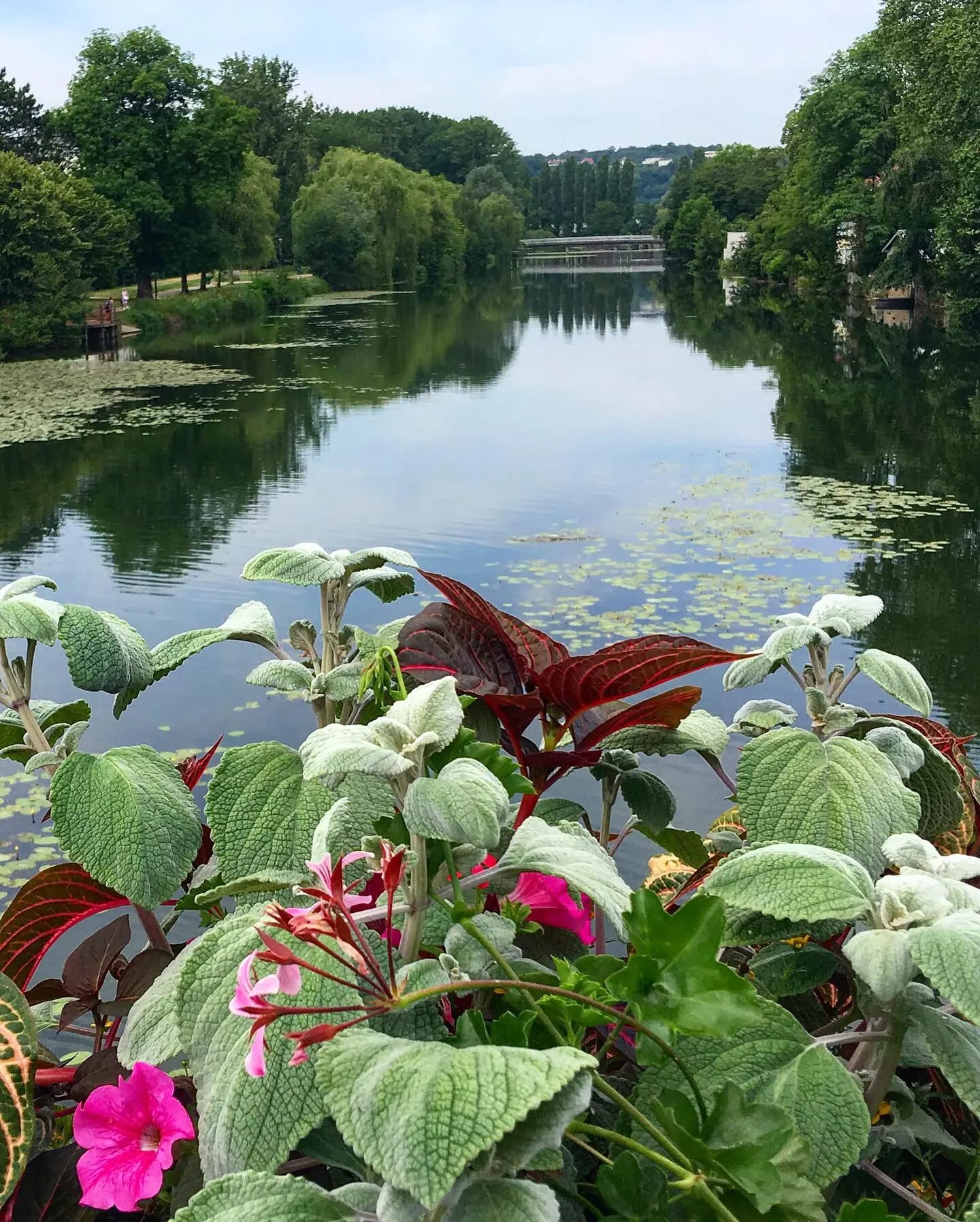 Franche-Comté, France Les belles berges de la rivière