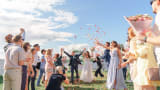 How Much Does a Wedding Actually Cost in 2027?