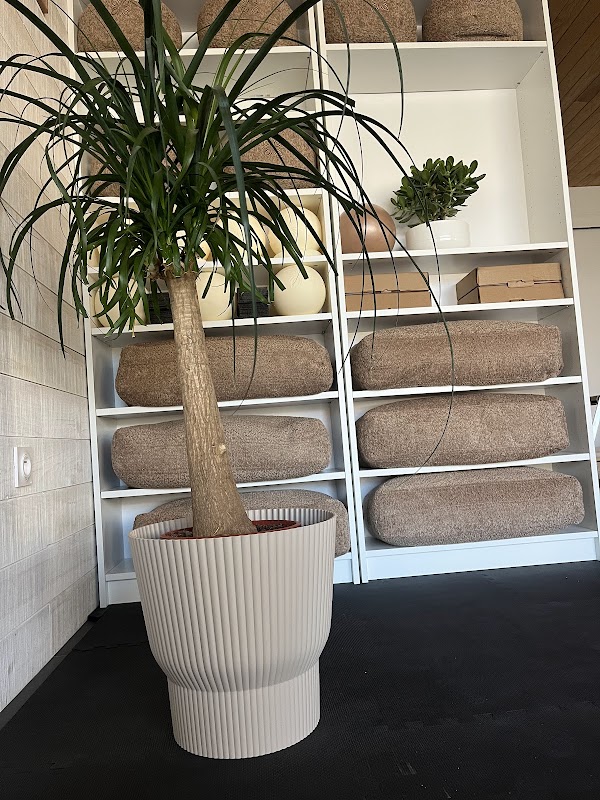 Moon Studio — photo 2