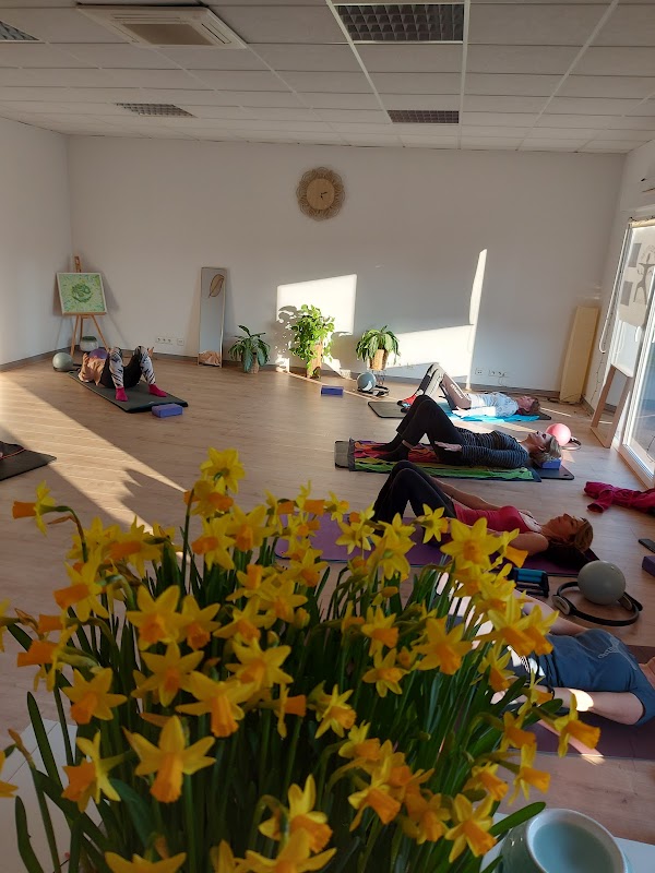 Pilates Attitude — photo 2