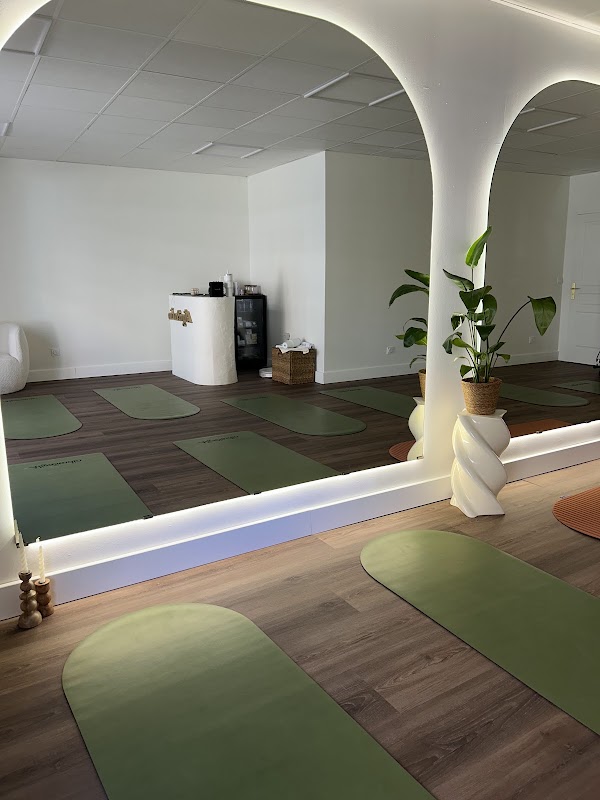 AlignStudio — photo 2