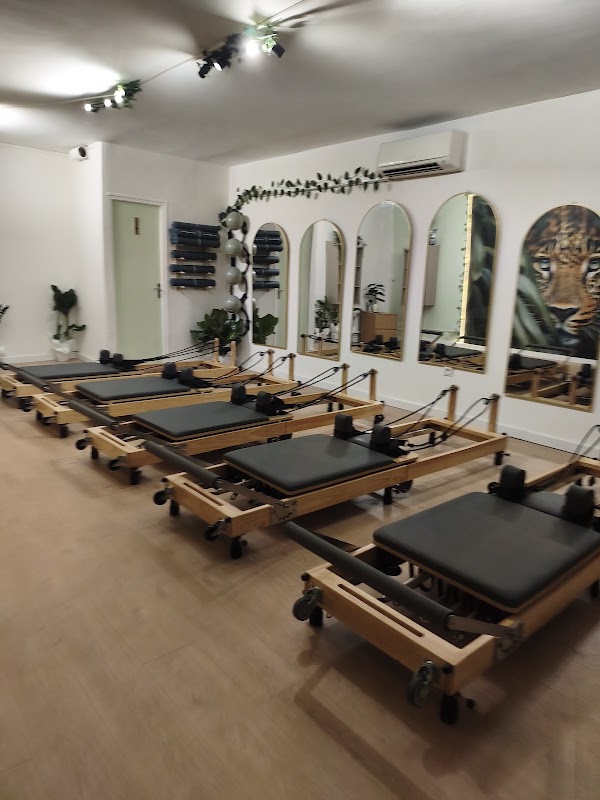 Jungle Studio — photo 2