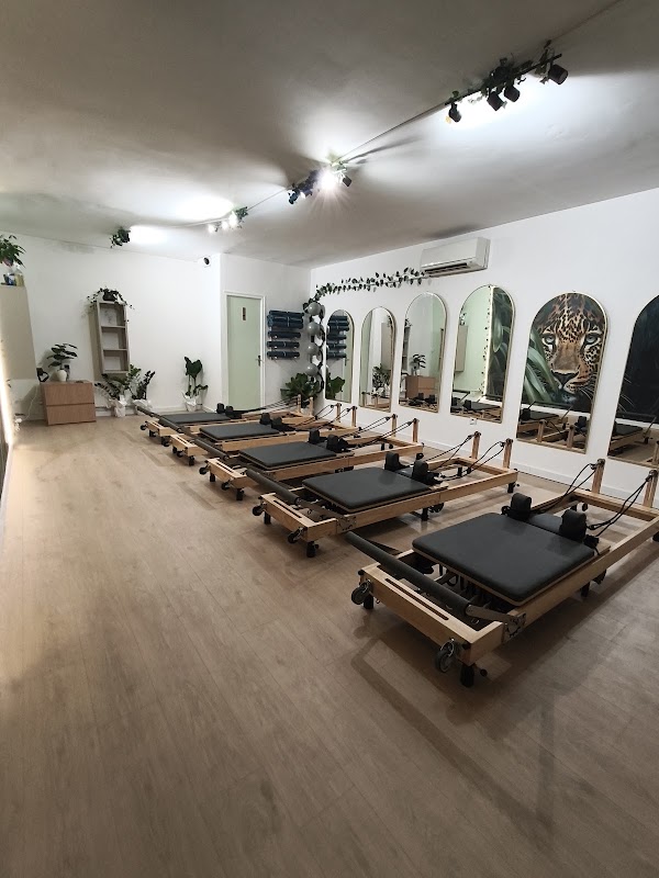 Jungle Studio — photo 3