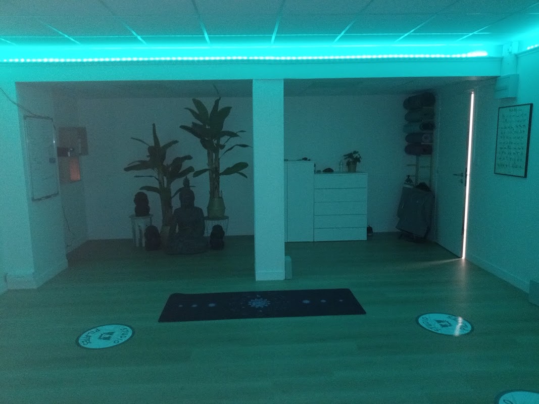 Setalip Studio — photo 2