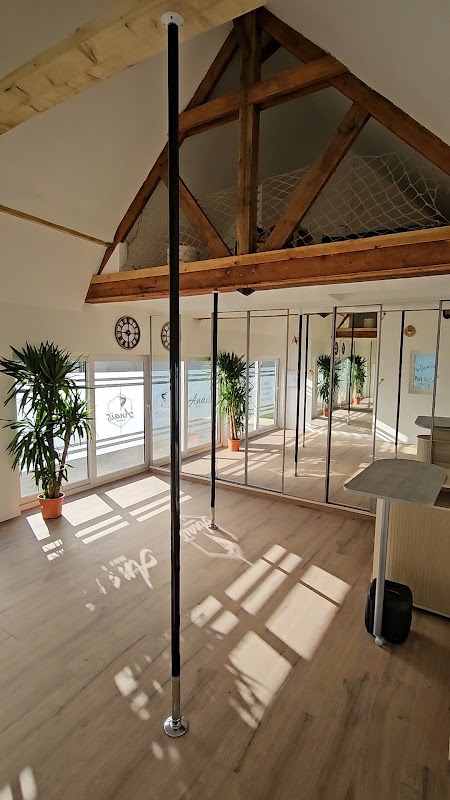 Anais Pole Dance Studio * 14-Bayeux * — photo 3