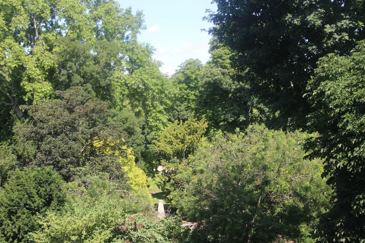 Alice Pilates Paris 8 — photo 3