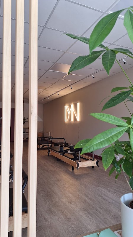 Dmn Studio Pilates Reformer — photo 2