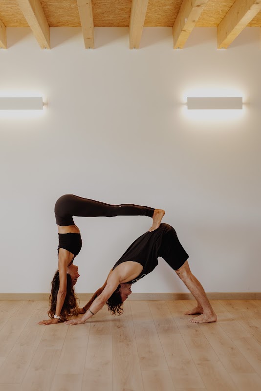Mouvement Collective — photo 2